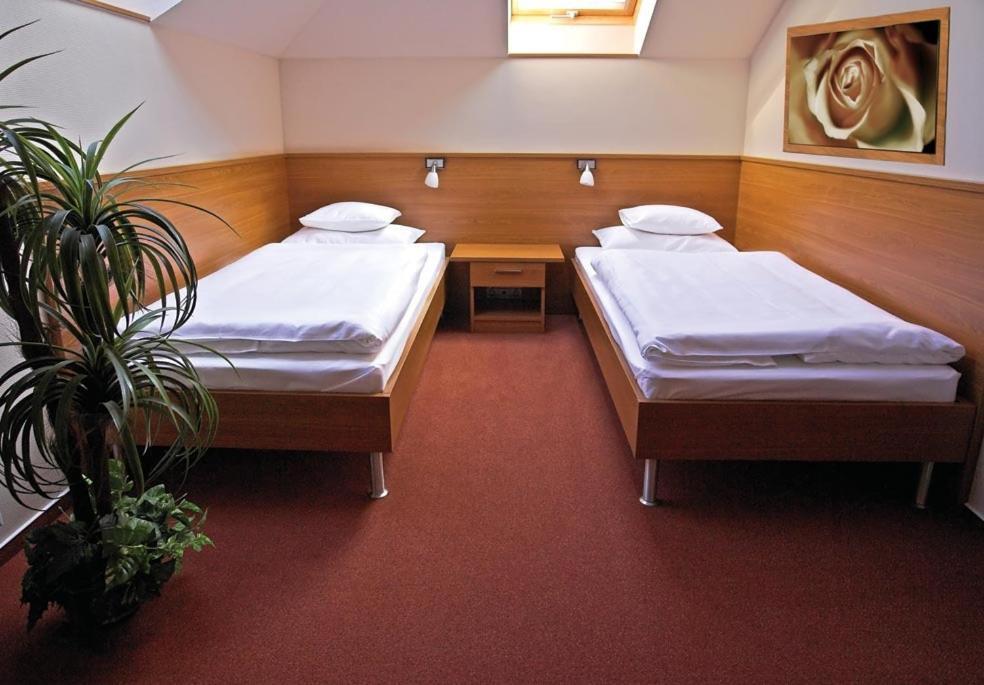 ホテル Promedicum Panzio ヴェスプレーム 部屋 写真